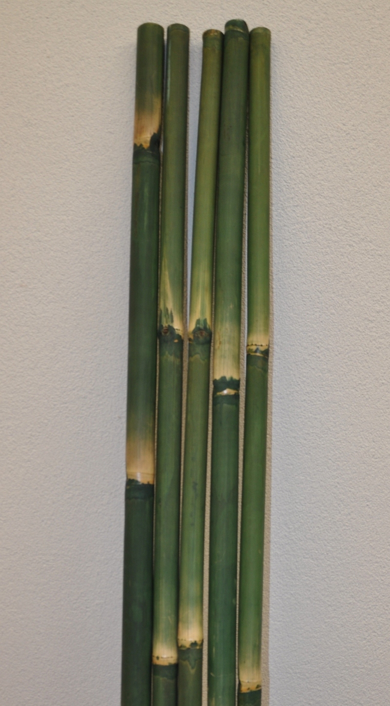 Bambusová tyč 5 - 6 cm, délka 2 metry - barvená zelená | RYCHLÉ DODÁNÍ