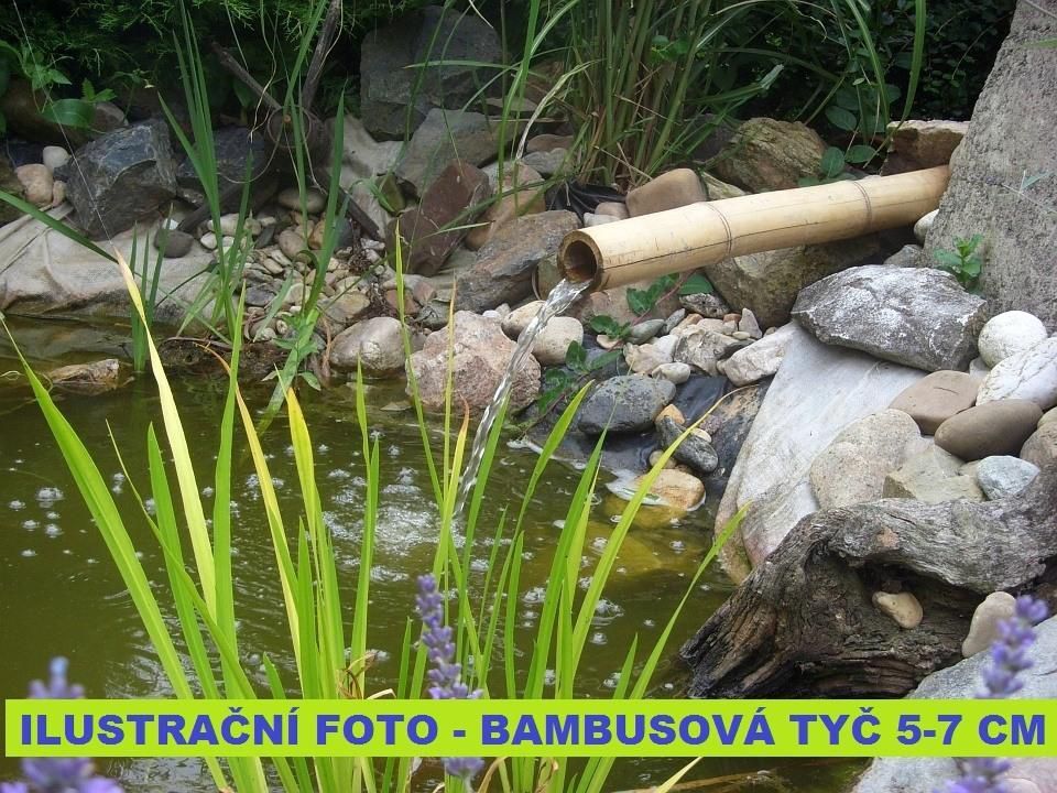 Bambusová tyč 3- 4 cm, délka 2 metry