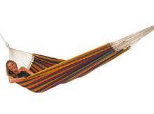 Houpac s Paradiso tropical