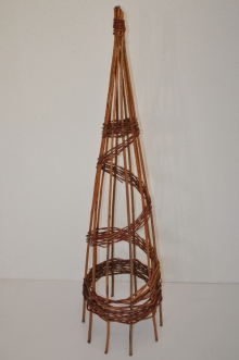 Kuel vrbov spirla - stedn