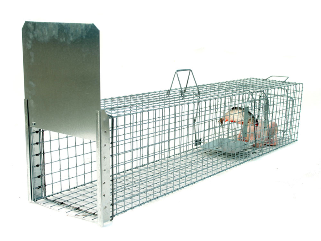 Profesionln past na liky, kuny, vydry a koky TRAP ST130x34x34K