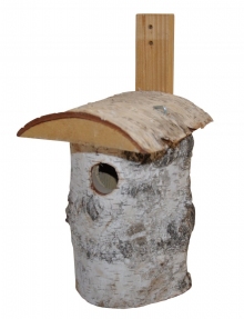 Pta budka bza